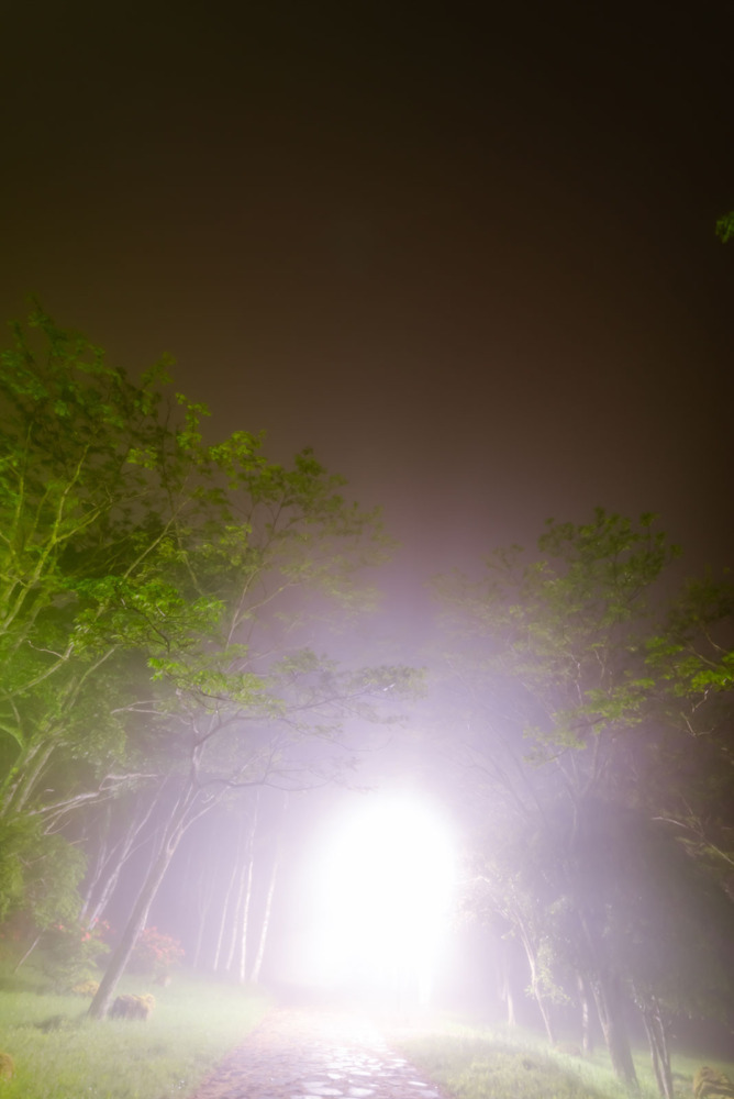2025年6月9日蓼科園地からの夜空