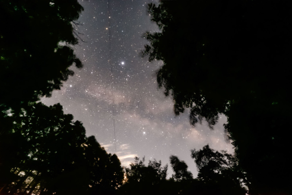2025年6月16日ビーナスラインからの星空