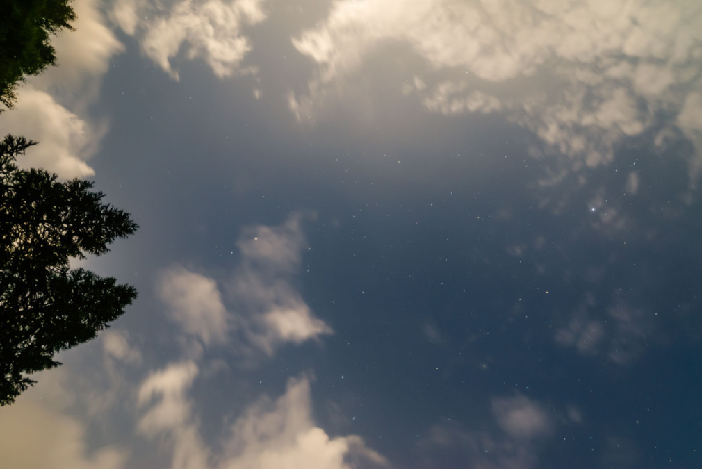 2025年7月9日蓼科山七合目からの星空